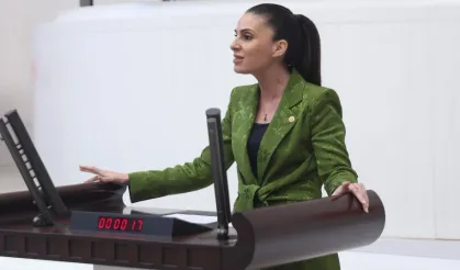 Narenciye üreticisinin TBMM'de sesi oldu