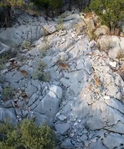 Kaçak avcı dronlu denetimde yakalandı