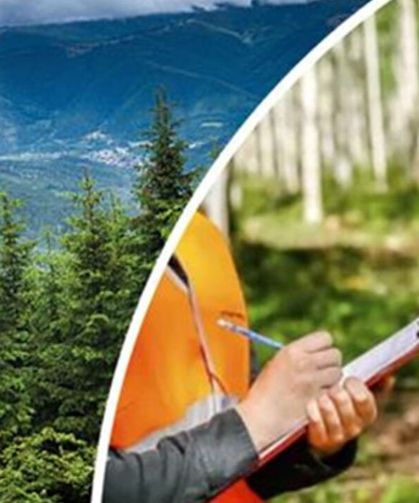 İş arayanlar dikkat! Orman Müdürlüğüne personel alınacak