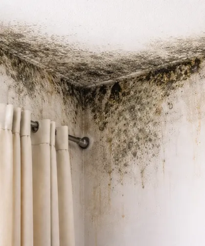 DEÜ'lü profesörden uyarı: Nem ve küf sağlığı tehdit ediyor