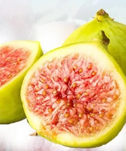 Büyükşehir'den incir fidanı desteği