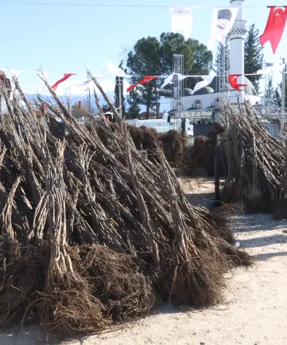 Üreticilere balık yemi desteği