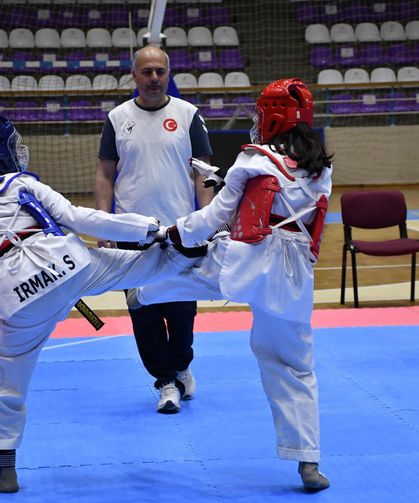 Yıldızlar tekvando müsabakaları tamamlandı