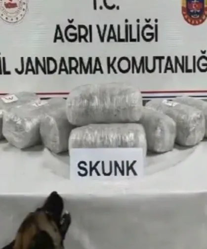 Ağrı'da 10 kilogram skunk ele geçirildi