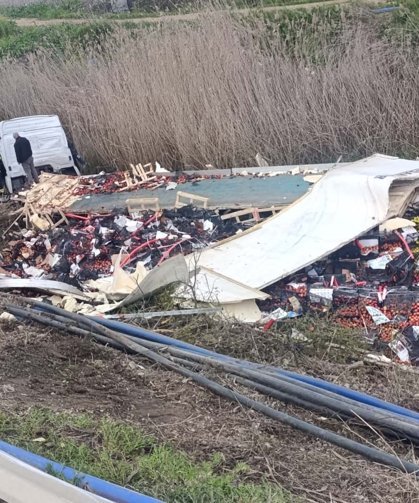 Elma yüklü çekici kanala devrildi: 1 yaralı