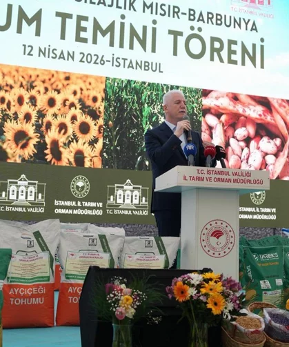 İstanbul'da çiftçiye dev destek... 84 ton tohum dağıtılacak