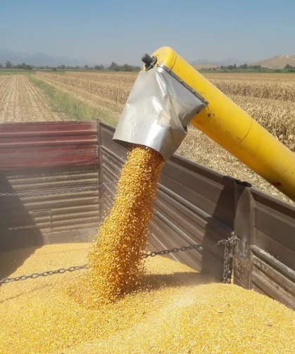 Mısır ithalatına 3 milyon tonluk tarife kontenjanı