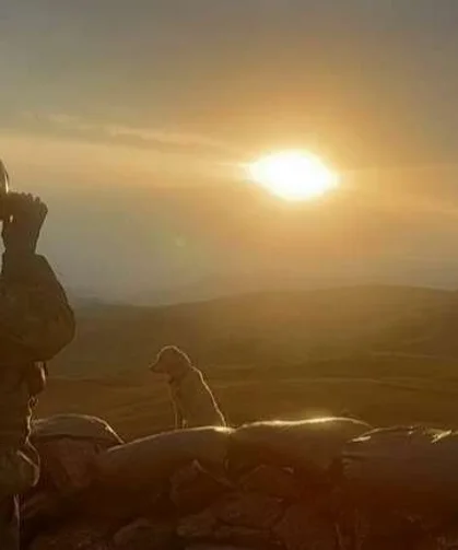 MSB'den son 1 hafta raporu: Hudutlarda 270 kişi yakalandı