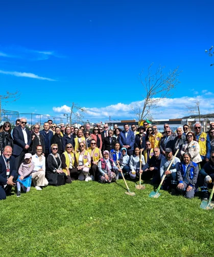 Yetişkin ağaçlar toprakla buluştu