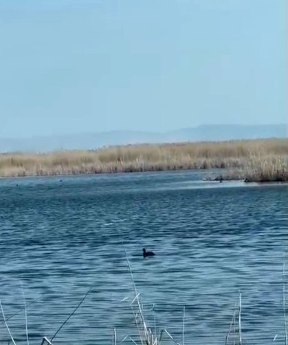 Eber Gölü'nde su seviyesi yükseldi