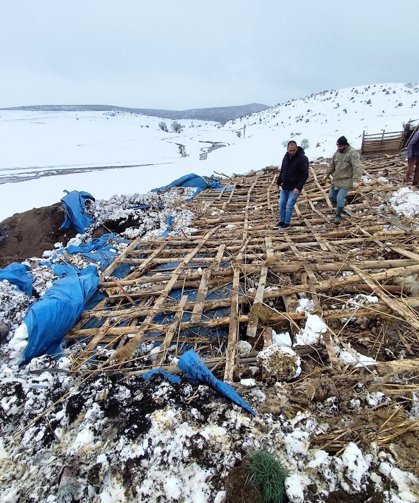Yağış nedeniyle ağıl çöktü: 6 koyun öldü