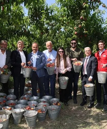 Şeftali ve nektarinde 250 milyon dolar ihracat hedefi