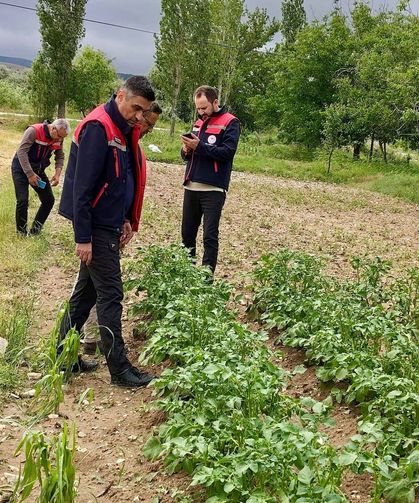 Dolu zararının tespiti için sahada inceleme