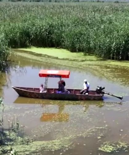 Eber Gölü'nün su seviyesinde azalma gözlendi