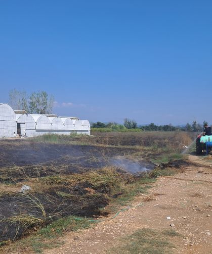 Antalya Serik'te otluk alanda yangın