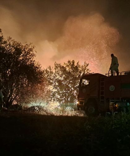 Antalya Serik'te otluk yangın rüzgarın etkisiyle büyüdü
