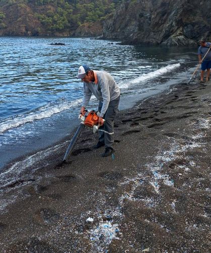 Antalya Kemer'de kıyı temizliği