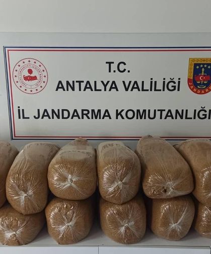 Kaçak tütün operasyonu: Alanya ve Kaş'ta 350 paket sigara ele geçirildi