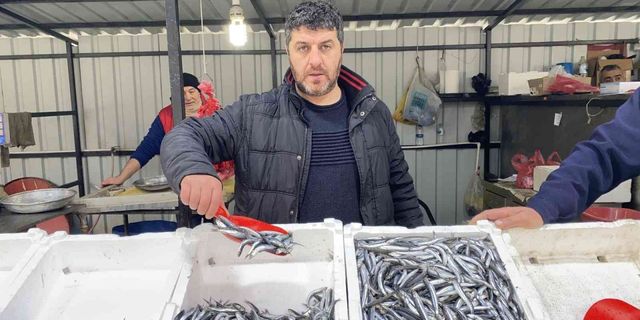 Balıkçılar hamsi için havaların soğumasını bekliyor