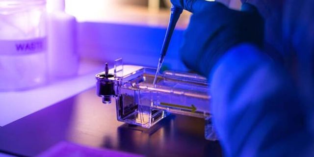 ’Kanser tedavisinde genetik testler kritik önemde’