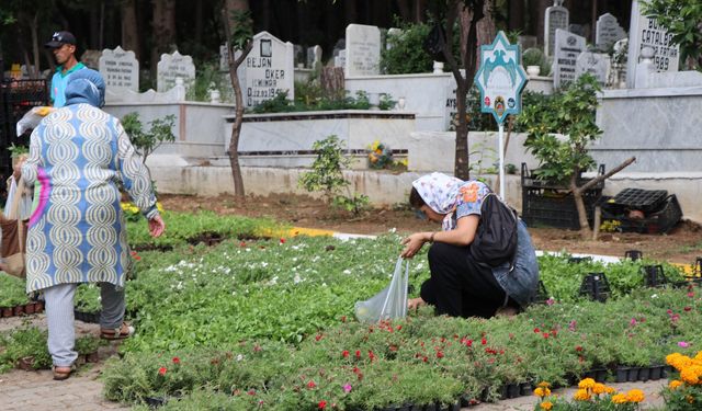Alanya'da 31 mezarlıkta ücretsiz 62 bin çiçek dağıtılacak