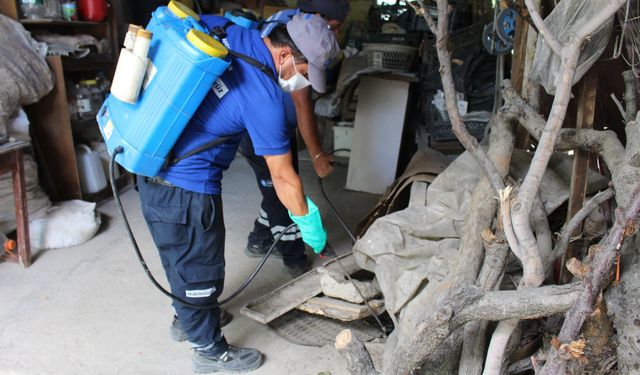 Antalya Büyükşehir vektörle mücadele çalışmasını aralıksız sürdürüyor