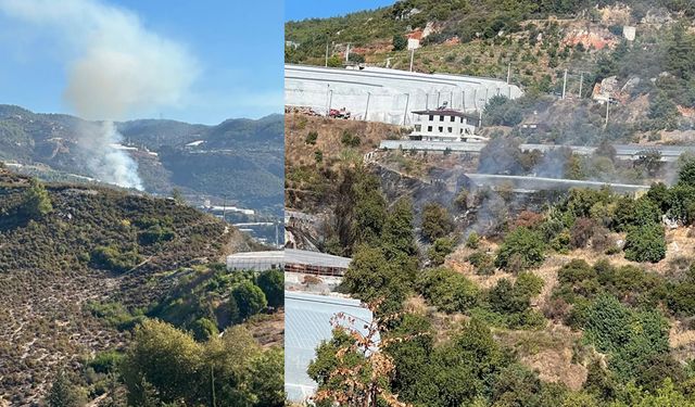 Alanya'da yangın: 5 Dekar sera zarar gördü