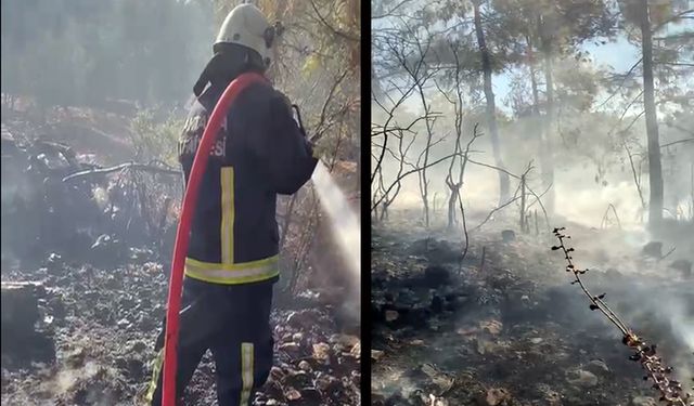 Alanya'da eğitim uçağı düştü: Yangın çıktı