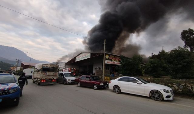 Alanya'da muz sarartma tesisinde yangın çıktı