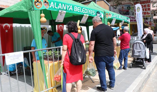 Alanya'da su kabağı fidesi dağıtılacak