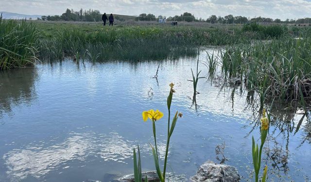 Eber Gölü ve çevresi 'ava kapalı bölge' oldu