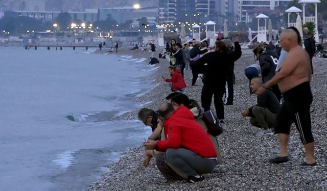 Antalya’da Hıdırellez coşkusu