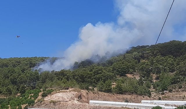 Antalya'da korkunç orman yangını