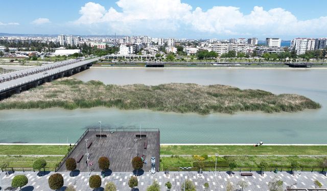 Boğaçayı'nda 220 kuş türü gözlemlendi