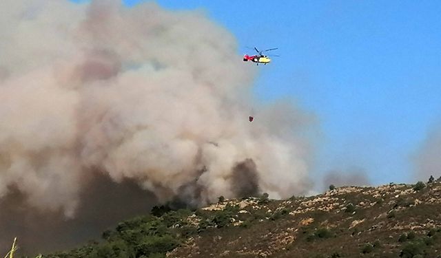 Gazipaşa'da orman yangını soğutma çalışması devam ediyor