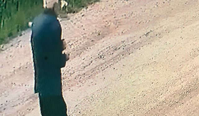 Gazipaşa'da 56 gündür bulunamadı