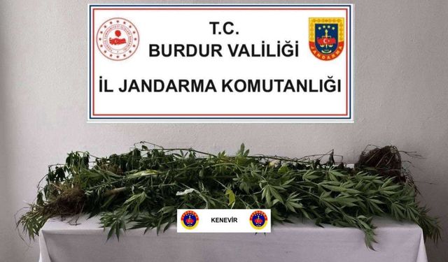 Uyuşturucu ve kaçakçılık operasyonlarına 3 tutuklama