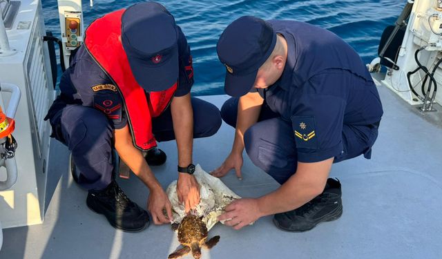 Çuvala dolanmış deniz kaplumbağasını Sahil Güvenlik kurtardı
