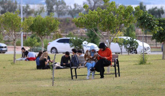 Alanya’da kene kaynaklı 3 hastalığa dikkat!