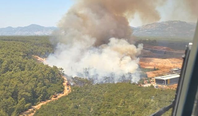 Antalya'da orman yangını
