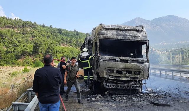 Buğday yüklü TIR yandı
