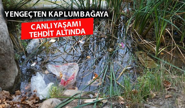 Kapuz Kanyonu'ndaki kirliliğe tepki