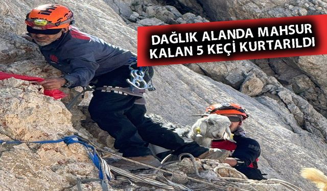 Gündoğmuş'ta mahsur kalan 5 keçi kurtarıldı