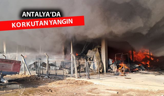 Antalya'da soğuk hava deposu ve imalathanede yangın