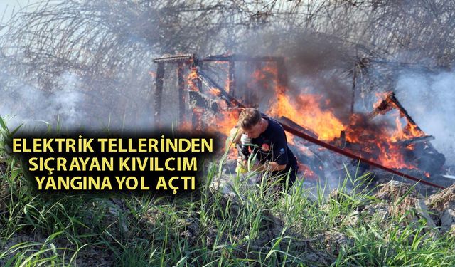 Antalya'da elektrik telleri yangına yol açtı
