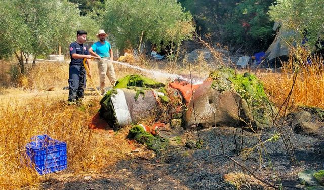 Zeytin bahçesi yangında zarar gördü