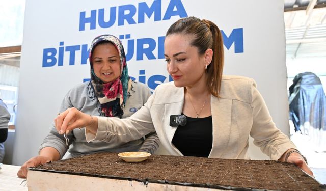 Başkan Vekili Özdemir bitki üretim tesisini gezdi