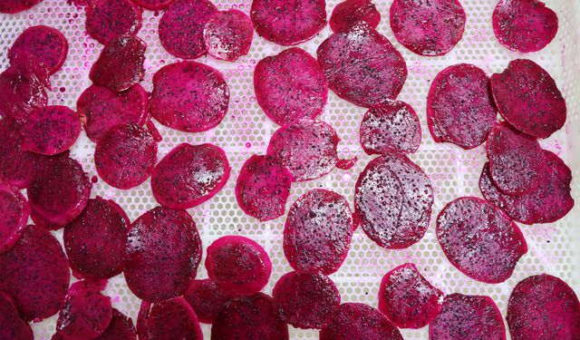 Elde kalan ürünler kurutma tesisinde değer kazanıyor