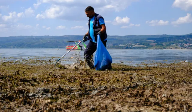 Sapanca çevresinden 2 ton çöp çıktı