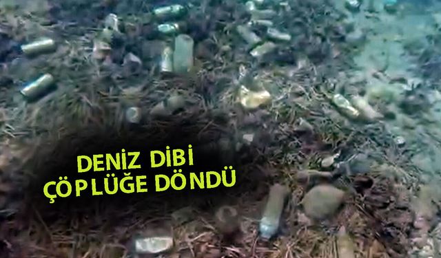 Alanya’da kirlilik canlıları ve turizmi tehdit ediyor